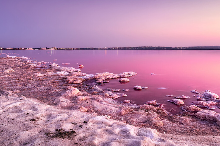 Natuurpark Lagunes van La Mata en Torrevieja